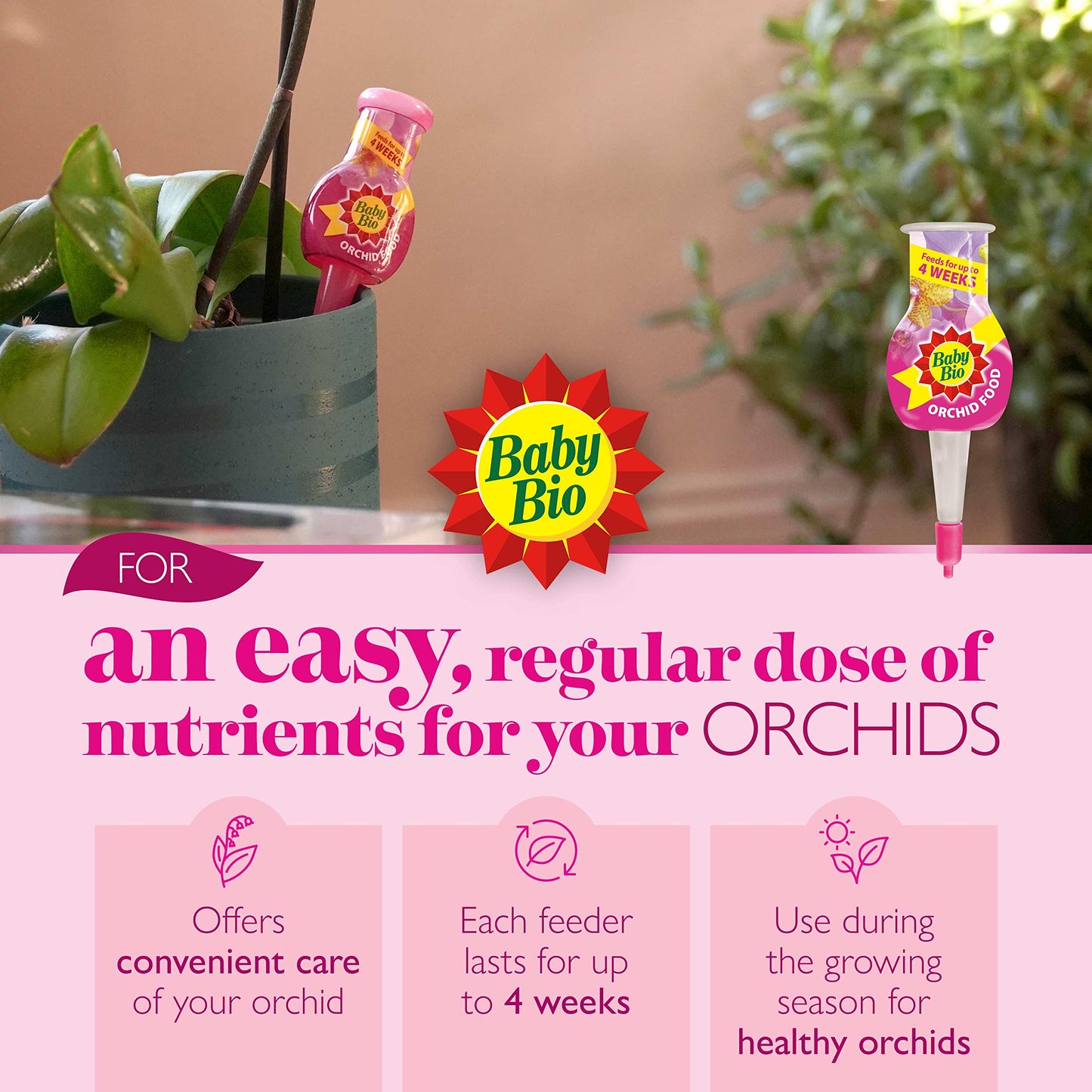 Baby Bio Automatic Orchid Drip Feeders, 4 x 40ml - Ready To Use Plant Food - Easy Care for Supporting Healthy Growth and Vibrant Flowering
