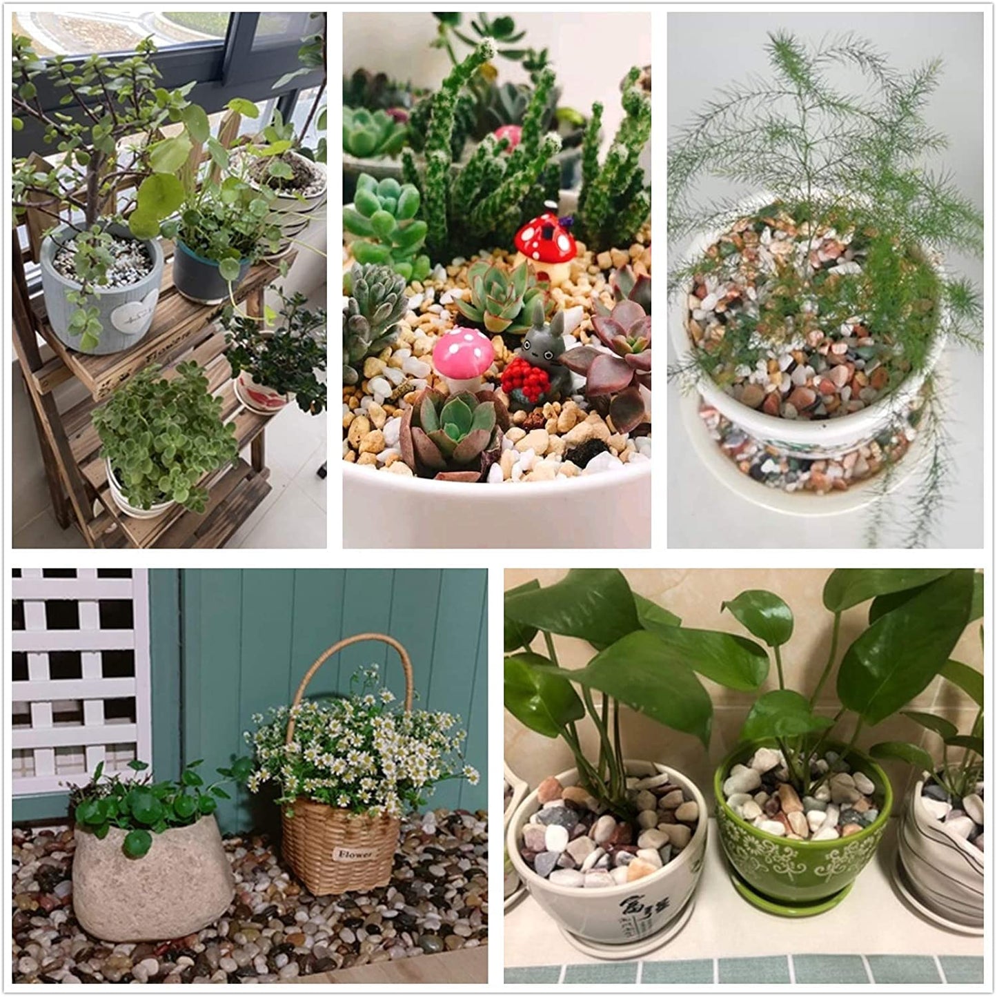 Aleker Decorative Pebbles, 2.2lb Natural Small Polished Mixed Stones Gravel for Plant Aquariums, Flowerpot, Landscaping, Ponds,Terrariums Vase Fillers, DIY, Home Garden Decoration(Approx.0.5-1.2 inch)