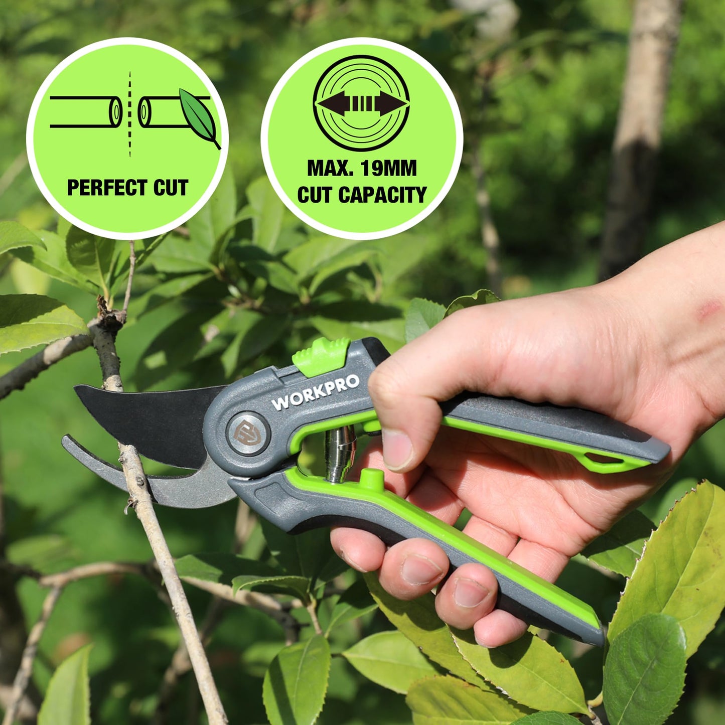 WORKPRO Secateurs & Pruning Scissors | Heavy Duty 210mm Secateurs with SK5 Blades | Labor-Saving Garden Scissors with Safty Lock | Essential Garden Tools for Pruning Flowers