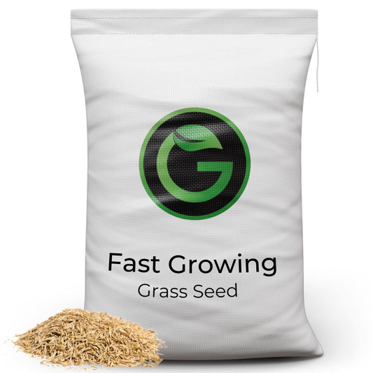Fast Growing Grass Seed UK - Repair Lawns and Patches Quick - Pet Friendly & Hardwearing - 5kg - Garden Lawncare Guy