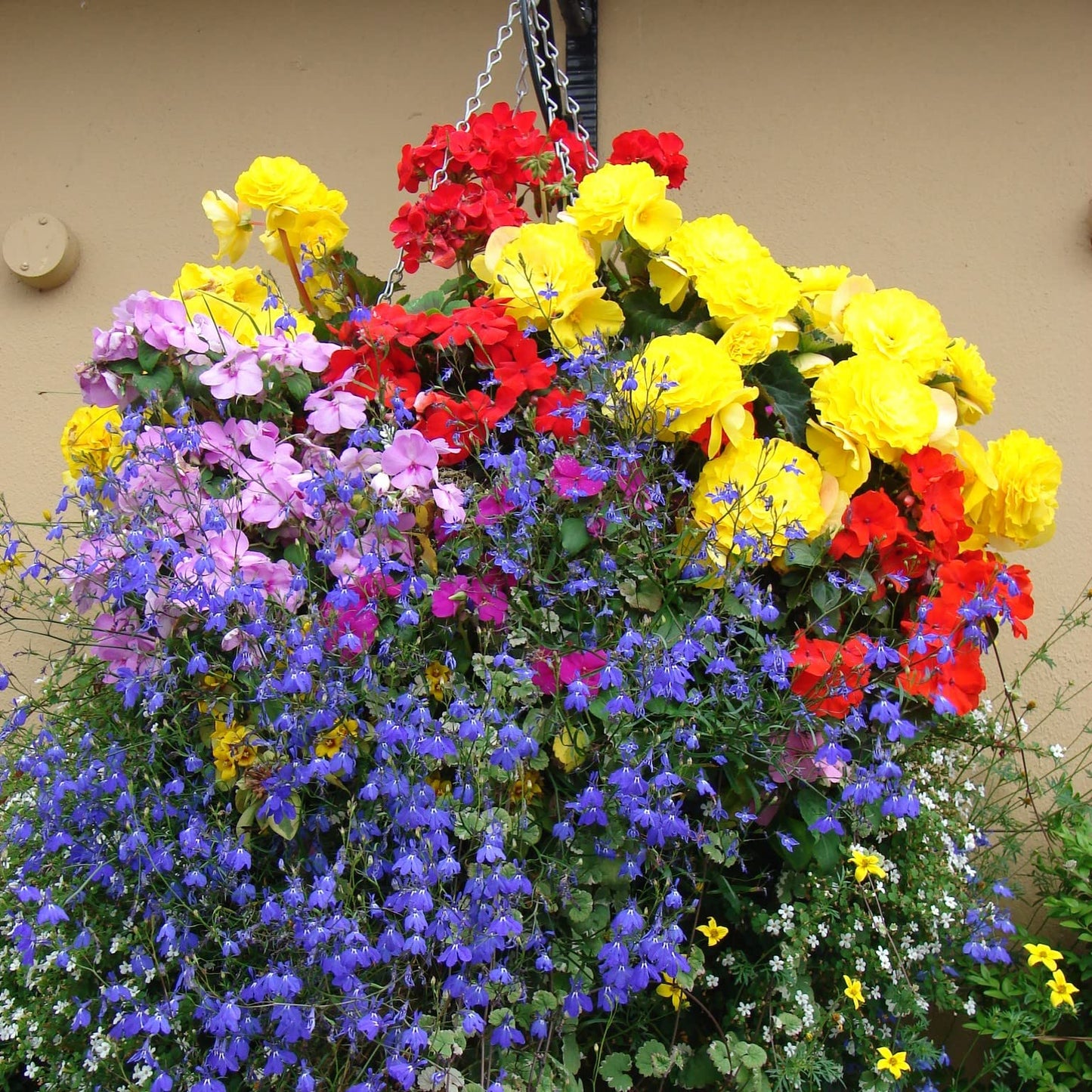 Garden Gear Outdoor Wall Hanging Baskets with Chains, 35cm Garden Flower Plant Pots, Black Easy Fill Planters Outdoor Garden Decor Decorations (Black x4)