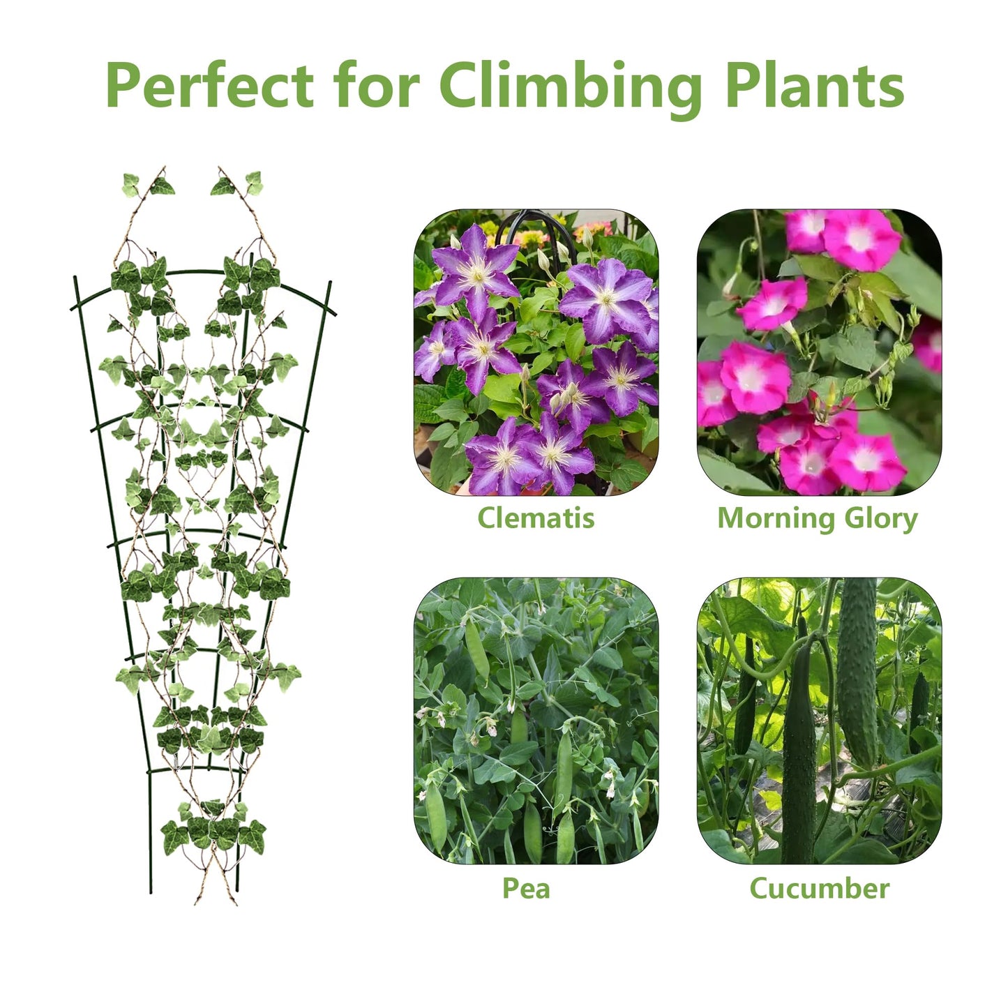4 Pack 40cm/16 inch Plant Climbing Garden Trellis: Indoor Plant Trellis for Houseplant Climbing Outdoor Garden Trellis for Climbing Plants Backyard Flowers Vines
