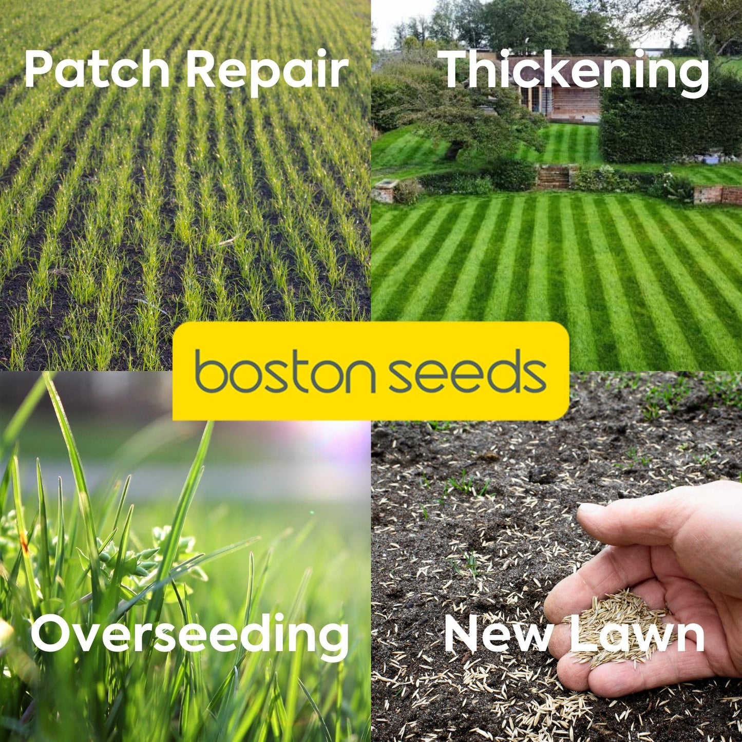 Boston Seeds Fast Growing Grass Seed - Hard Wearing Grass Seeds in Various Weights. Rapid Germination Seeds for Lawns & Landscapes (Eco - 20Kilogram)