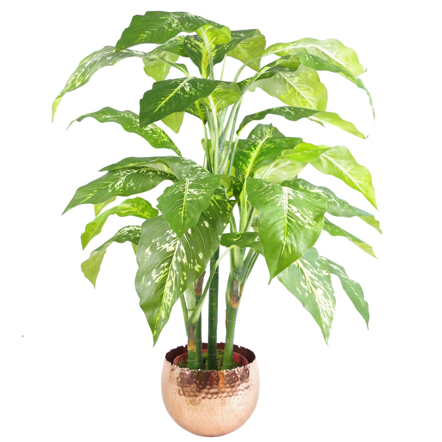 Leaf Large Curved Edge Hammered Metal Planter, Silver, 22cm x 17cm