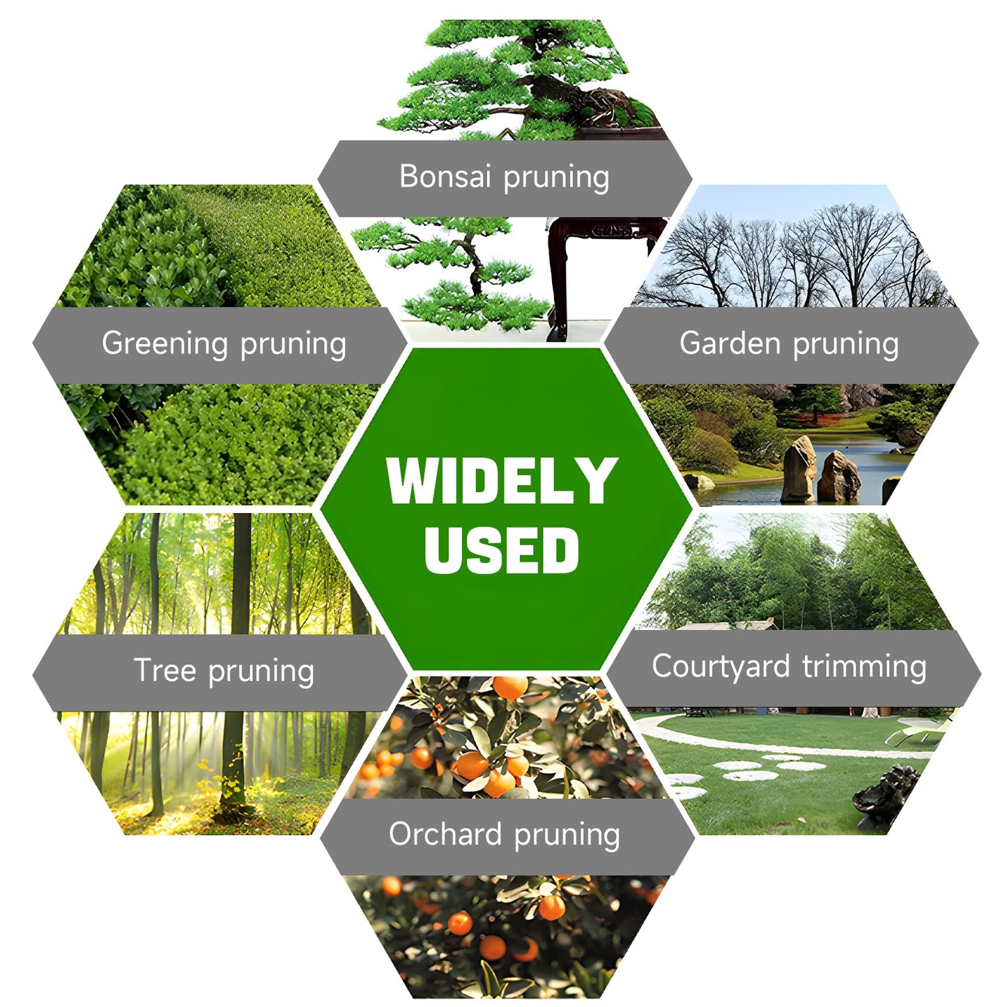 Professional Anvil Branch Lopper, Heavy Duty Tree Cutter Trimmer, Premium Compound Action Lopper with Telescopic Handles, Sharp SK5 Steel Blade, Extendable Garden Cutters, 21 to 30 Inches