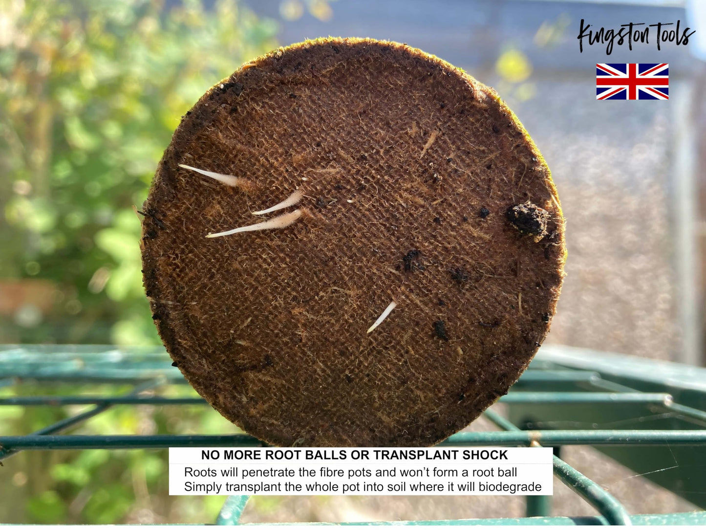 Kingston Tools 96-Pack 6cm Biodegradable Fibre Pots — Germination & Nursery Pots — Peat-Free & Organic— Ideal for Seeds, Seedlings and Cuttings