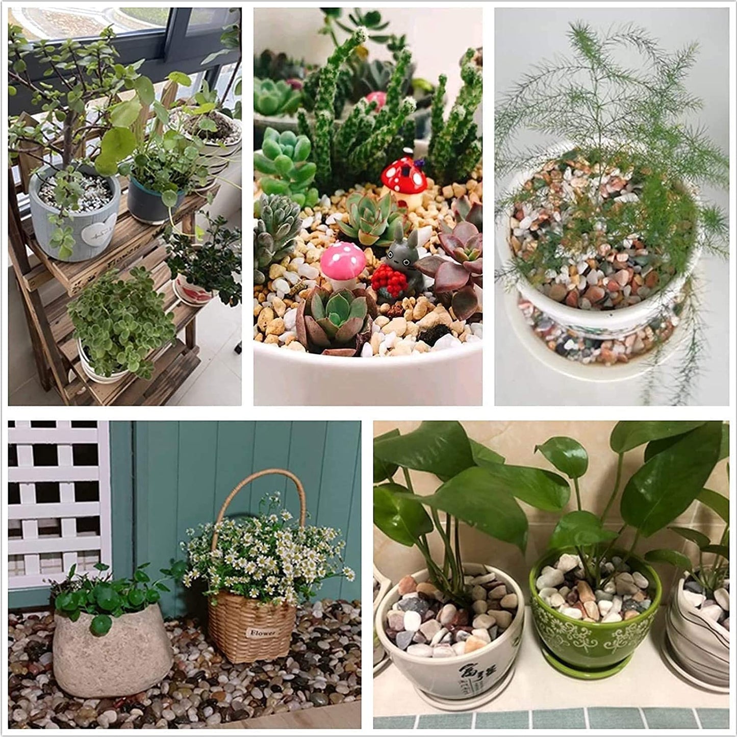 Aleker Decorative Pebbles, 2.2lb Natural Small Polished Mixed Stones Gravel for Plant Aquariums, Flowerpot, Landscaping, Ponds,Terrariums Vase Fillers, DIY, Home Garden Decoration(Approx.0.5-1.2 inch)