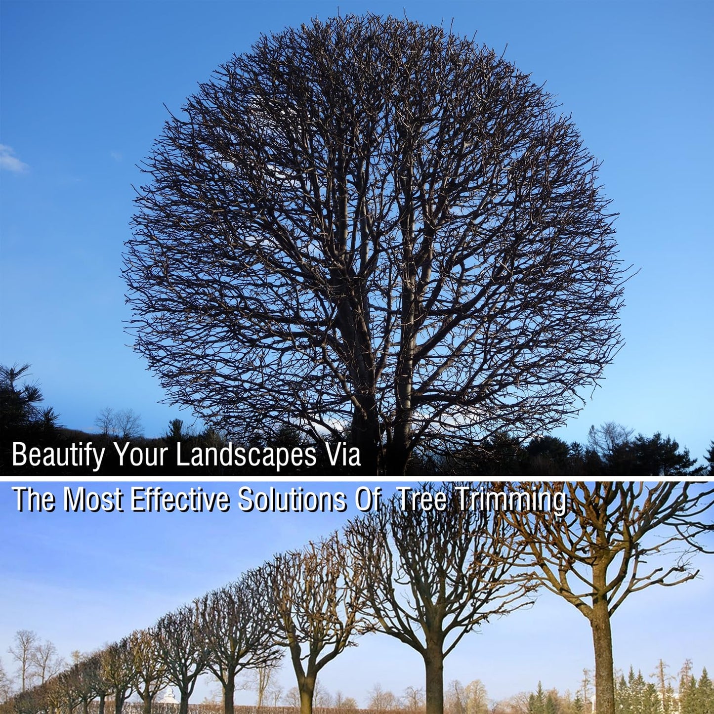 Extendable 181cm-300cm Tree Pruner, Long Handle Tree loppers, Lightweight & Strong Telescopic Pole Pruner with Rotate Head, Smooth Clean Cut, Ideal for Removing High Branches and Fruit Picking