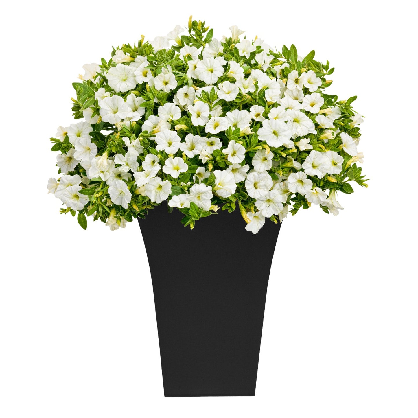 CrazyGadget® Large Milano Tall Planter Square Plastic Garden Flower Plant Pot Gloss Finish (1, Black)