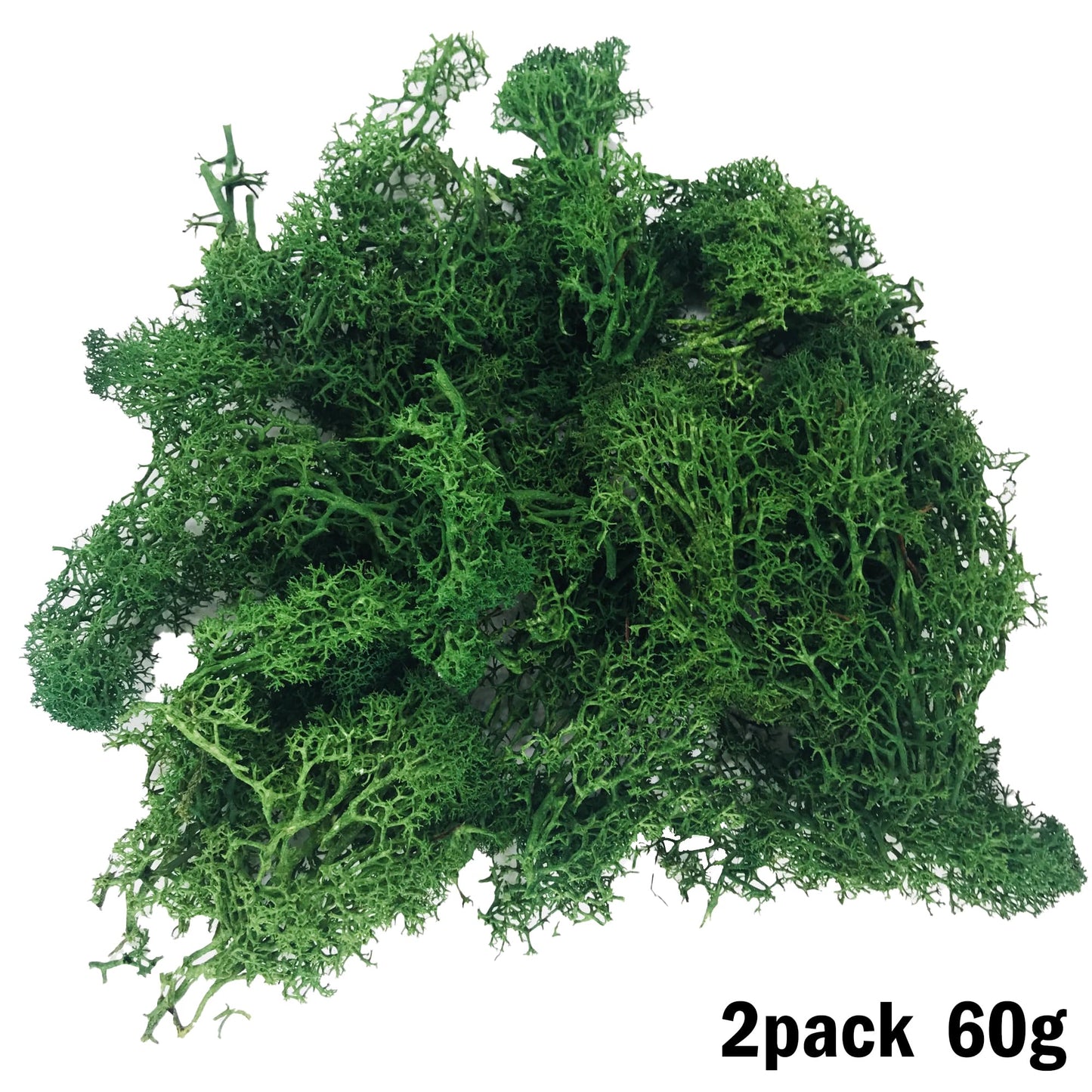 Cayway 83 PCS Fairy Garden Accessories Outdoor, Fairy Garden Supplies Micro Landscape Decoration, Mixed Model Trees for DIY Craft Garden Decoration
