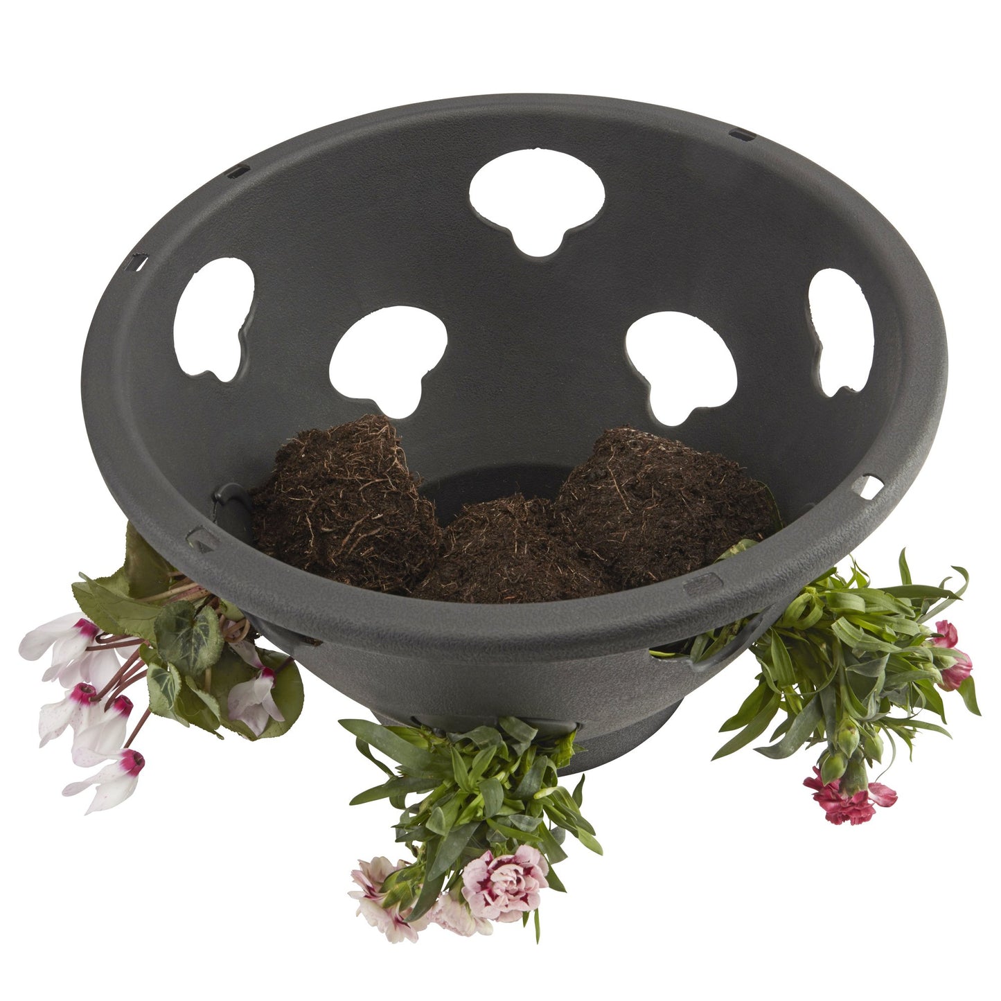 Thompson & Morgan Bloomaround Hanging Basket Garden Planter Plant Container with Water Reservoir for Flowers, Vegetables and Fruits from (30cm, 8 Pack)