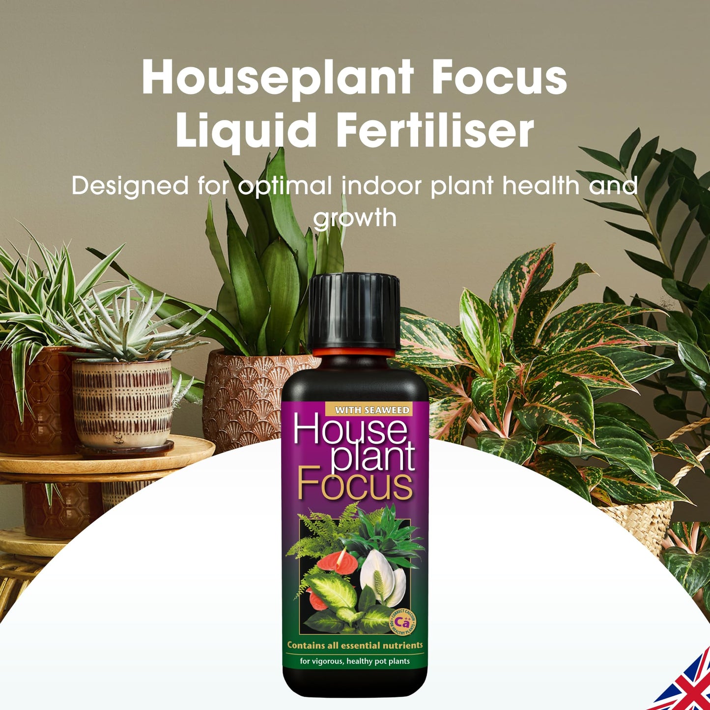 Growth Technology Ltd GTHPF300 Houseplant Focus Balanced Liquid Concentrated Fertiliser 300ml