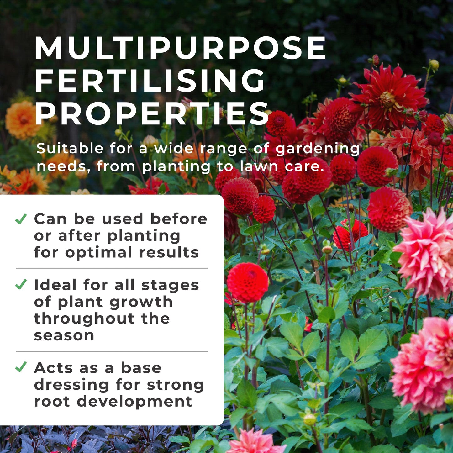 Grow Chem Fish, Blood & Bone Fertiliser (1KG Bucket) Multi-Purpose – Organic Fertiliser for Plants & Lawns – Nutrient-Packed, Easy-Apply Plant Food for Strong Healthy Produce, Flowers & Lawns