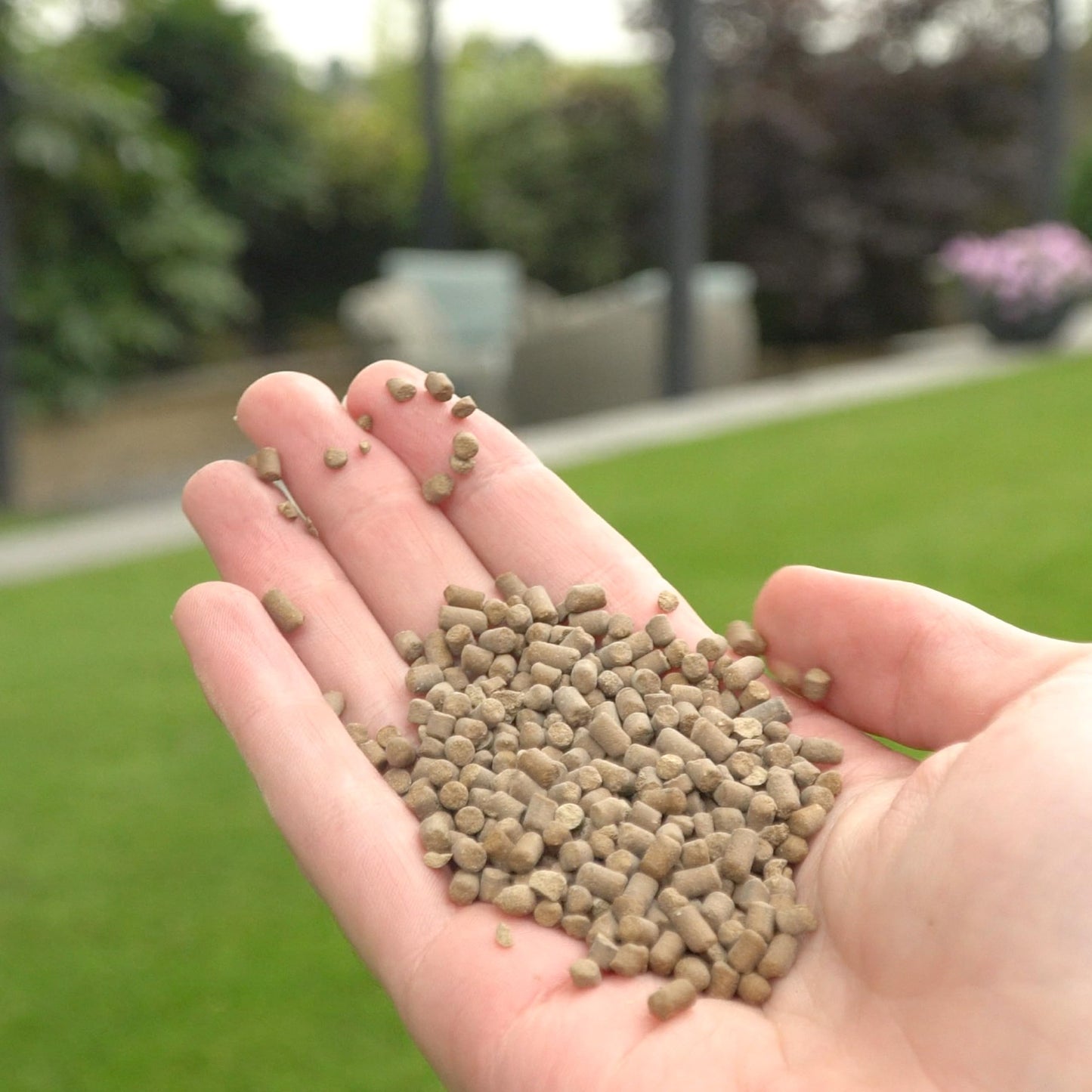 Envii Active Lawn – Lawn Clay Soil Improver, Improves Aeration & Lawn Health (Covers up to 40m2)