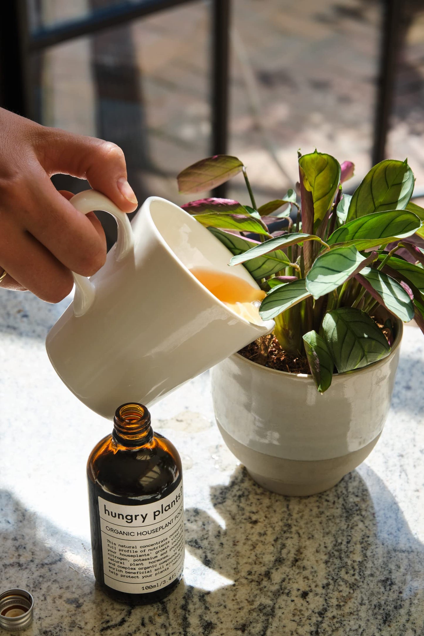 Hungry plants? | PREMIUM HOUSEPLANT FERTILISER | FULL PROFILE CONCENTRATE | ORGANIC | Houseplant Food - Seaweed Extract - Organic Components