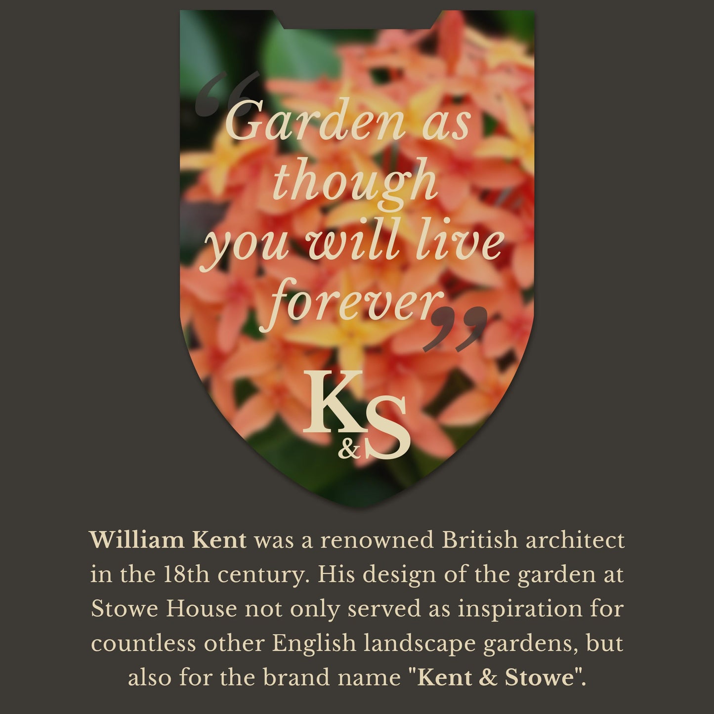 Kent & Stowe 1L Indoor Watering Can in Sage Green, Rust-Resistant Galvanised Watering Can with Handle and Long Spout, Classic All Year Round Garden Tools Made from Steel