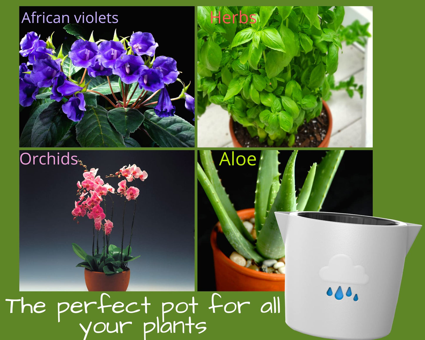 Large Self Watering Plant Pot for Indoor and Outdoor, Cloud Planter, Well Aerating and Draining Plastic 20cm Plant Pots for Orchids, African Violets, Herbs, Fiddle Leaf, Money Tree, Grey