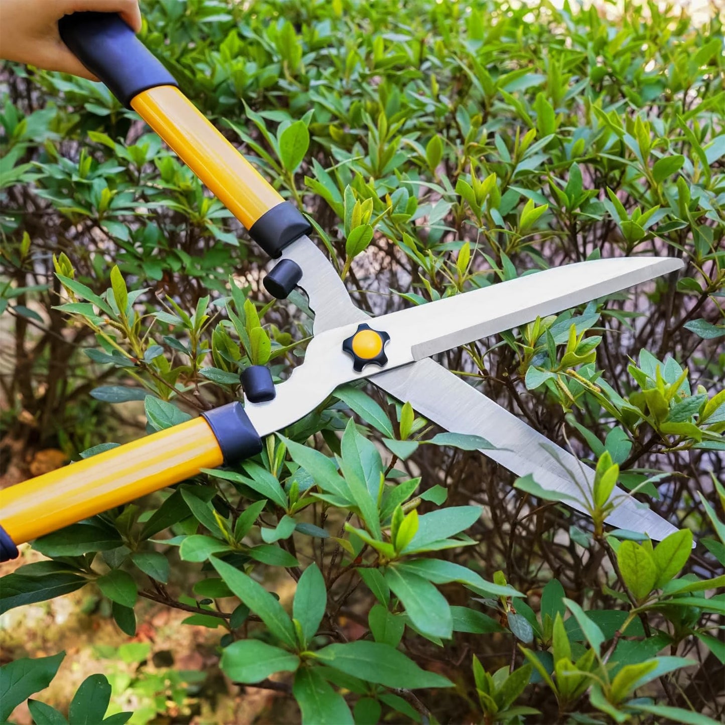 ZAVIA Hedge Shears for Gardening | Set of 21” Hedge Shear & 8” Pruning Garden Secateurs | Long Handled Lawn Shears for Hedges, Shrubs & Bushes | Anti Rust Carbon Steel Blade Hedge Shear Pruner Set
