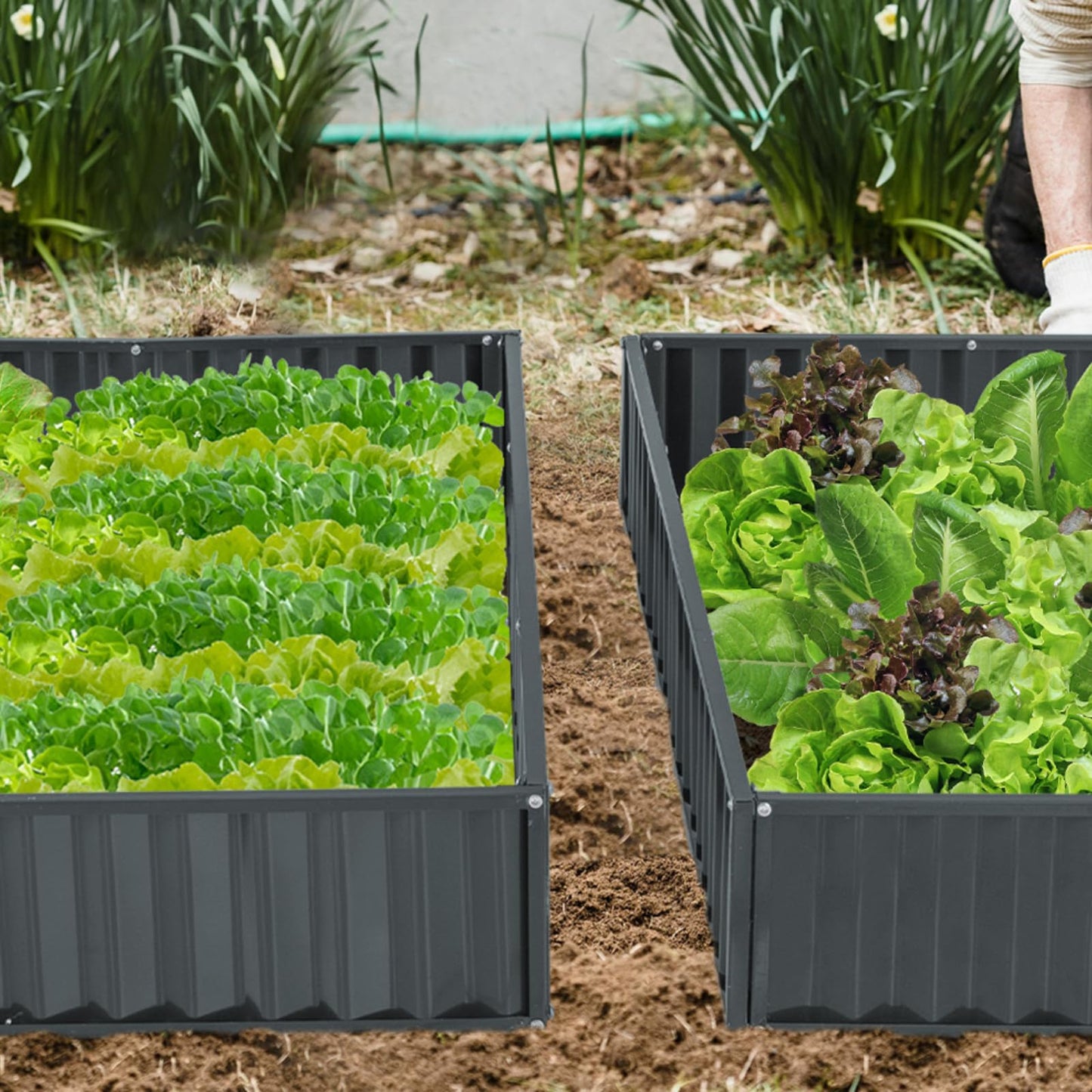 TANGZON 3-Tier Raised Garden Bed, Detachable Plant Flower Vegetable Herb Grow Box Containers without Bottom, Outdoor Elevated Planter Box Kit for Patio Lawn Greenhouse (Black, Metal, 118 x 118 x 61cm)