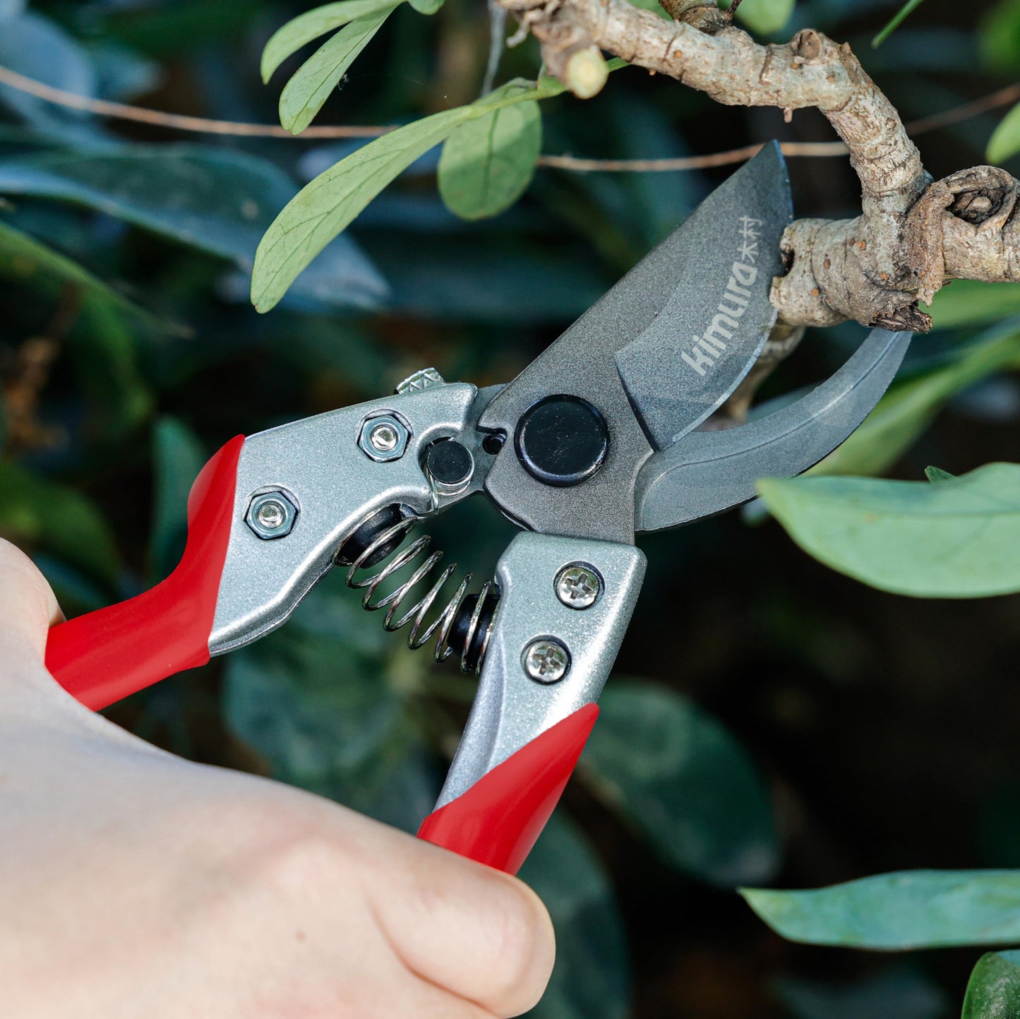 Kimura® 8" Pro Bypass Garden Secateurs, Heavy Duty Premium Japanese SK5 Steel Blades, Non-Slip PVC Coated Handles, Lightweight & Ergonomic, Japanese Bypass Pruning Shears