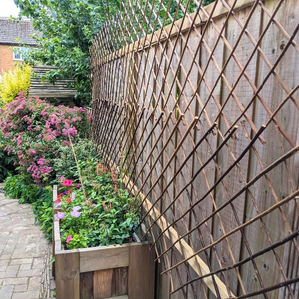Xs Exp Willow Trellis 1.8x0.6m