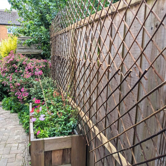 Xs Exp Willow Trellis 1.8x0.6m