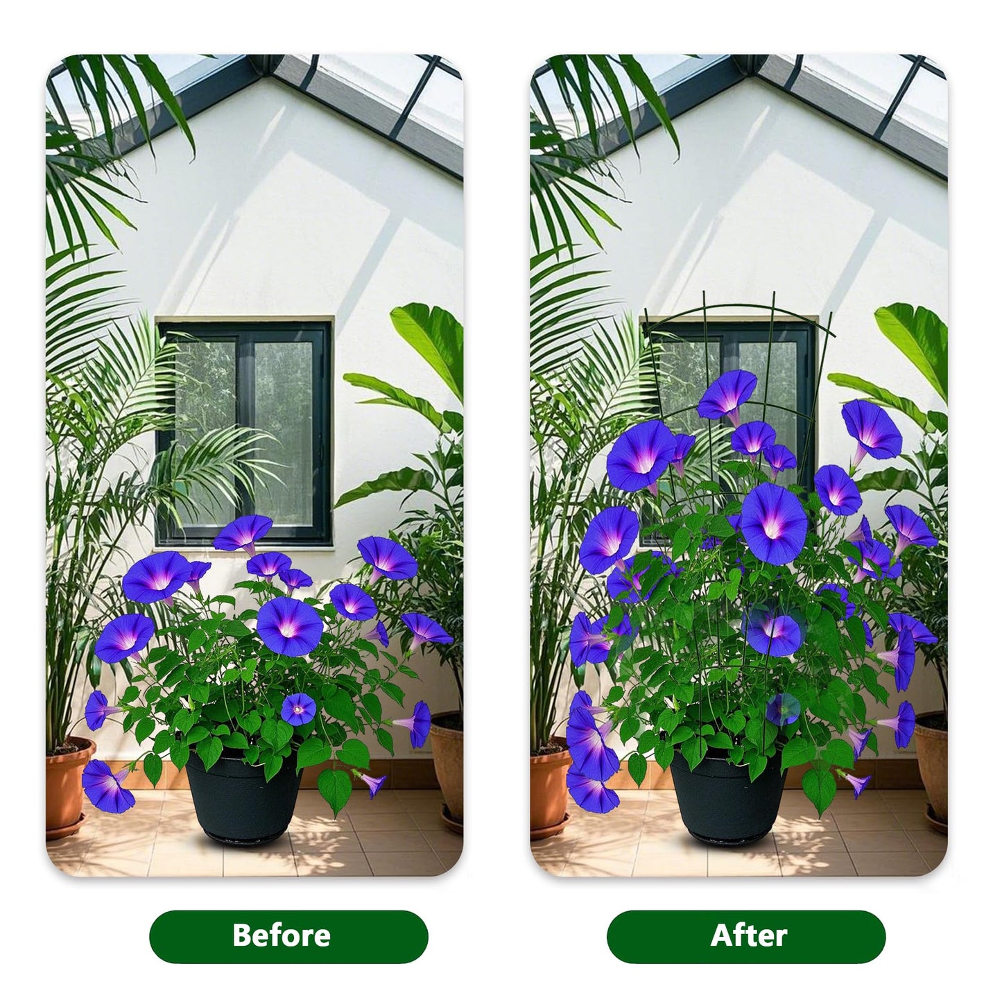 4 Pack 40cm/16 inch Plant Climbing Garden Trellis: Indoor Plant Trellis for Houseplant Climbing Outdoor Garden Trellis for Climbing Plants Backyard Flowers Vines