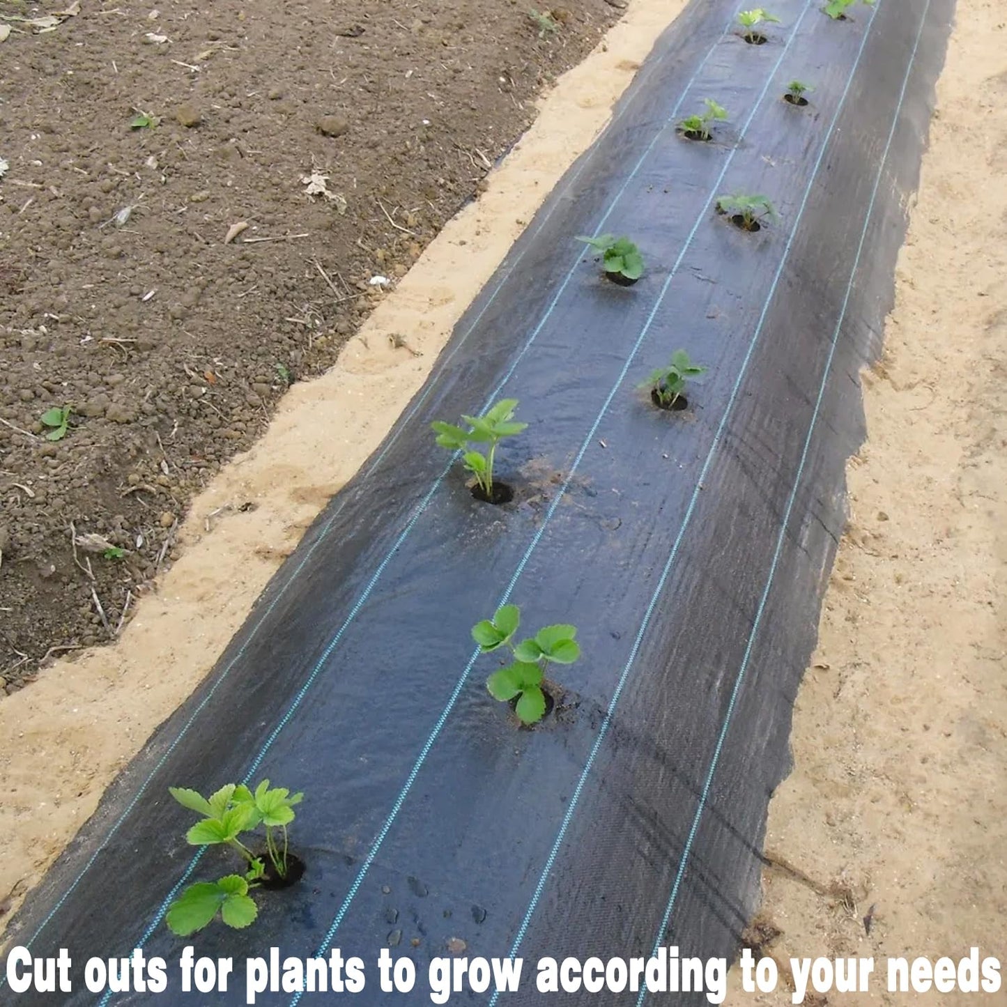 Aoriyar Weed Control Membrane Fabric for Garden - 1M x 10M Black Heavy Duty Ground Cover Membrane Roll Permeable Weeds Suppressant Sheet Gravel Barrier Matting Breathable Landscape Covering Fabric