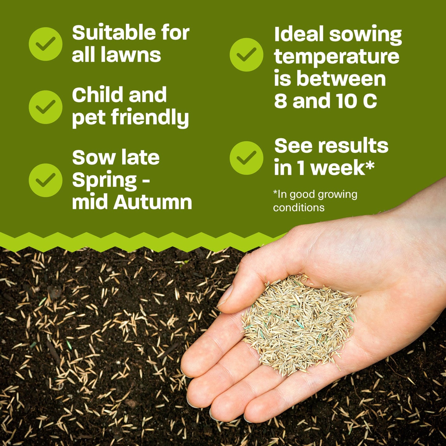 Rural Supplies Premium Grass Seed Mix 2kg - Covers up to 100m2, Hardy, Fast-Growing, Pet Safe, Perfect for UK Climate - Thick, Hard-Wearing, Easy-to-Grow, Low Maintenance Lawn