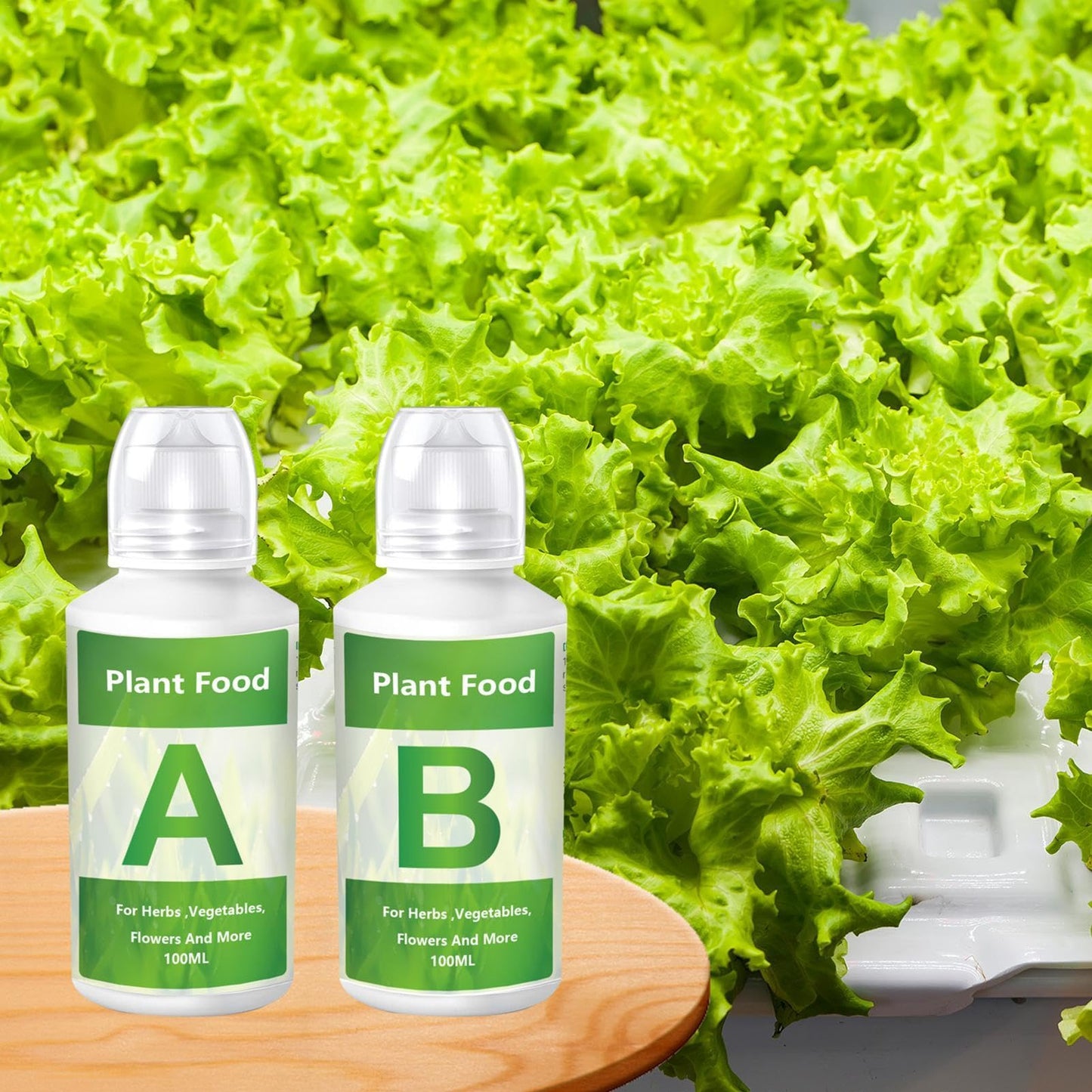 jamgeery Hydroponic Nutrients,Vegetable Growing Nutrients | A & B Plant Food for Hydroponics Growing System and Potted Houseplants, Plant Fertilizer