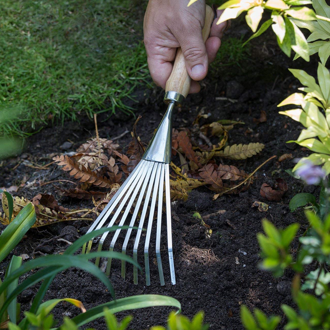 Burgon & Ball RHS Endorsed Shrub Rake, 36 cm Length