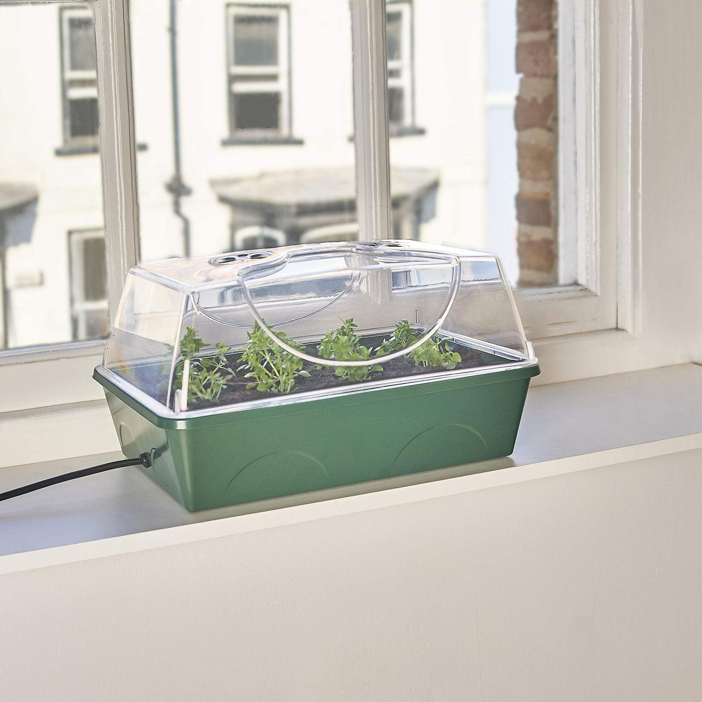 EarlyGrow MPL50035/P Heated Electric Shatter Resistant Medium Propagator for Seed Germination and Growth - 38 x 24 x 20 Centimetres - Green