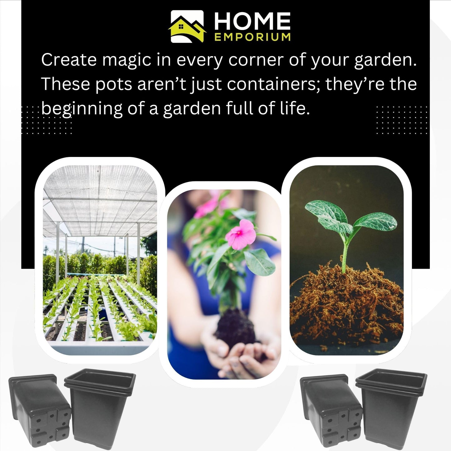 9cm Plastic Plant Pots Black Square (Pack of 50) – Ideal for Plants, Perennials, and Herbs (Pack of 50 Pots)