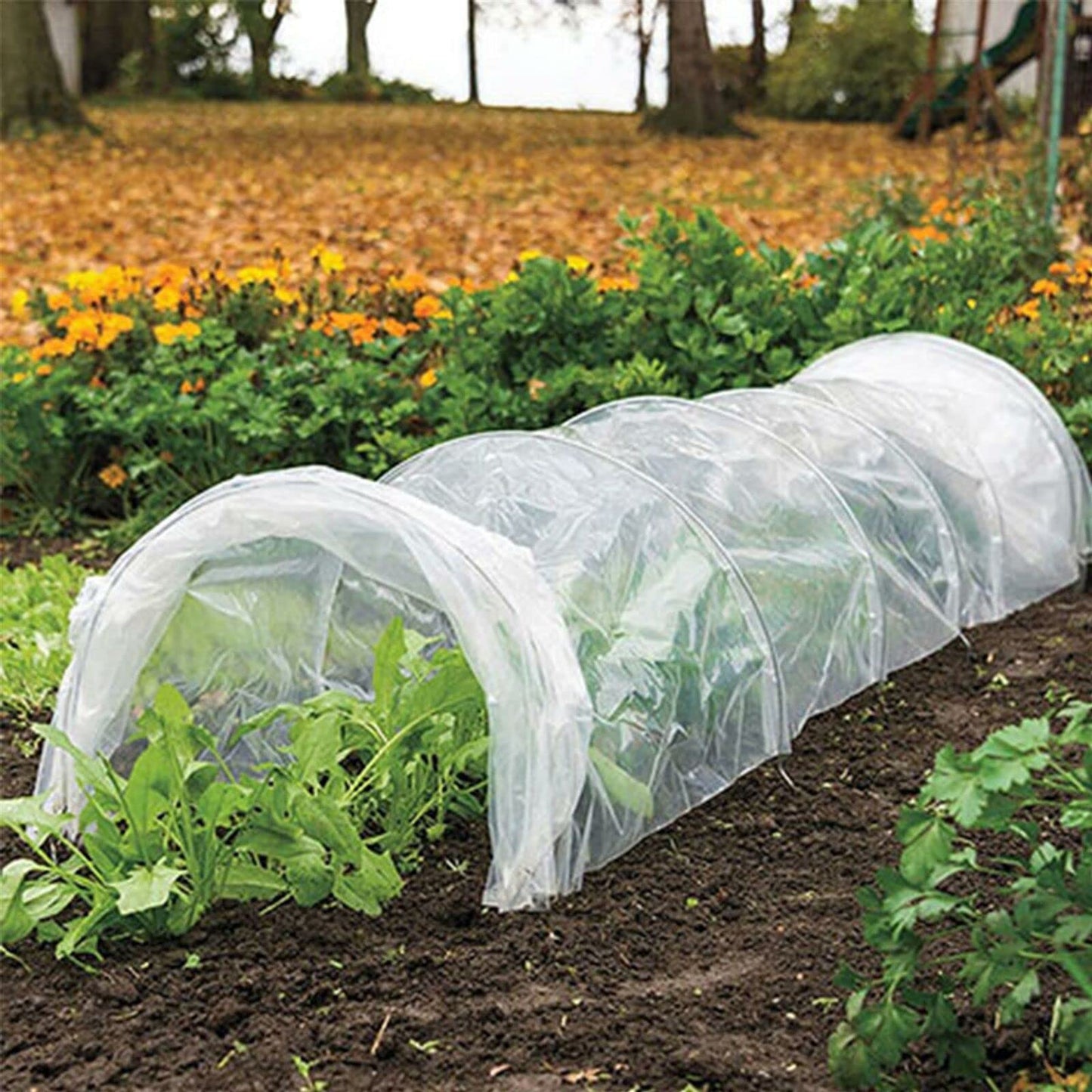 Polytunnel Plant Protector Growing Herbs Vegetables Flowers Greenhouse Tunnel Garden Planting Cloche
