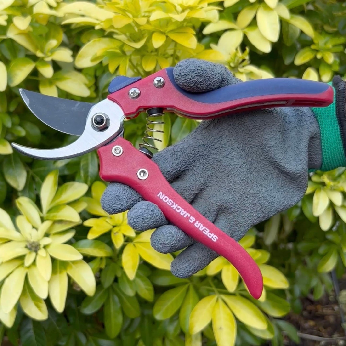 Spear & Jackson 7159BS Razorsharp Advantage Bypass Secateurs