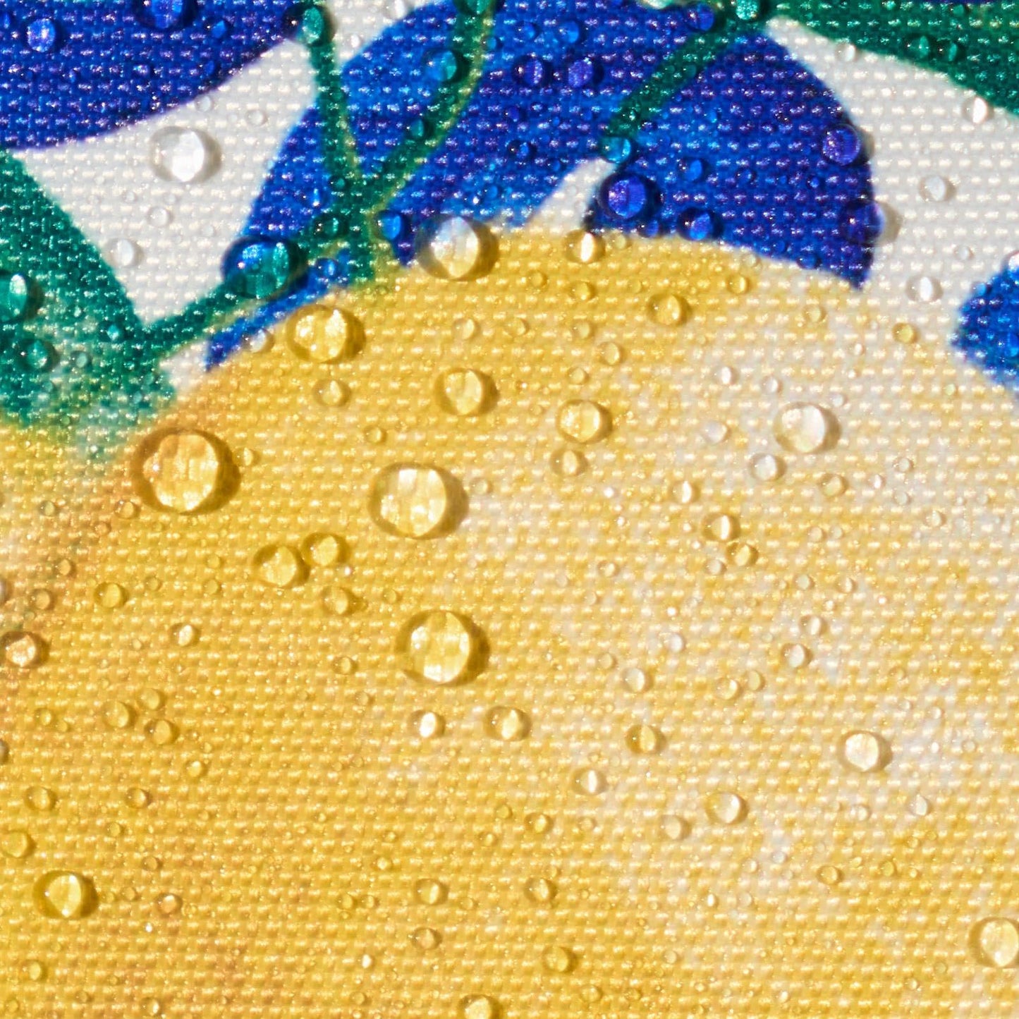 OHS Outdoor Cushions Lemon Print 45 x 45, Water Resistant Garden Furniture Cushions Sofa Cushion Covers for Inners Super Soft Comfy Decorative, Blue Pack of 2