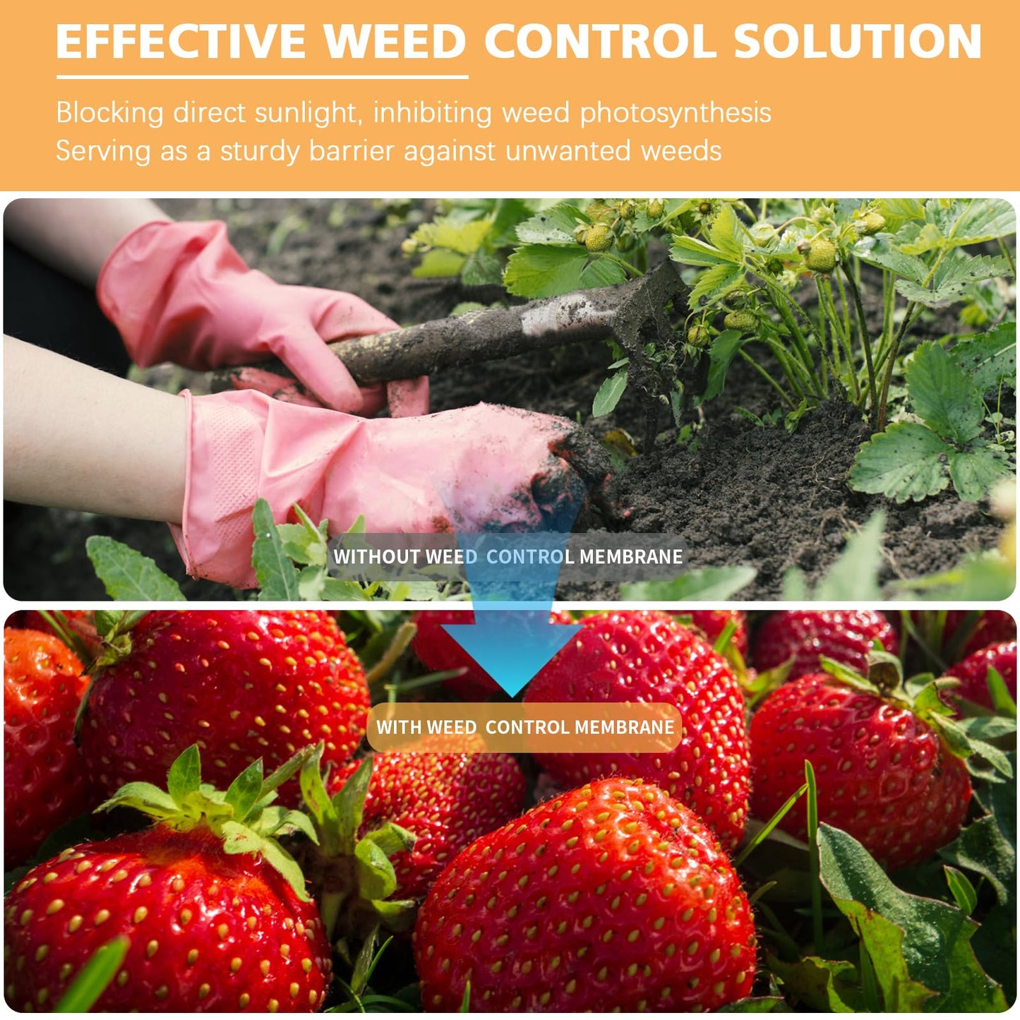 BEEWAY Weed Control Membrane 2m x 25m/Roll, Heavy Duty Weed Control Fabric 90gsm, UV Stabilised Weed Barrier Fabric/Ground Cover for Patios Garden Flower Beds Landscaping Artificial Grass