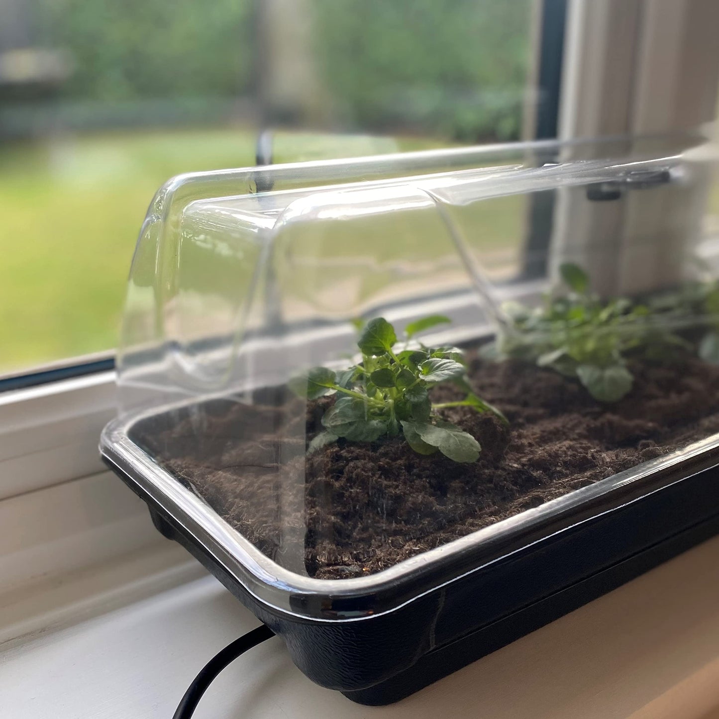 Selections Jumbo Windowsill Heated Plant Propagator (80cm)