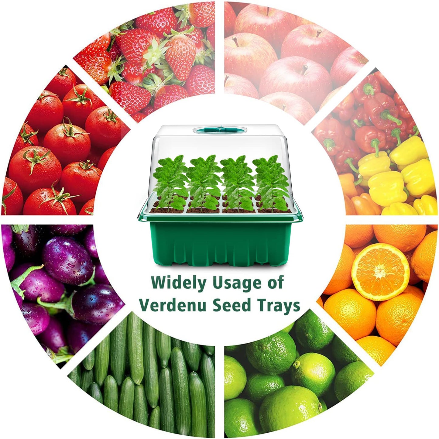 Verdenu Seed Trays, 6 PCS Propagator Kit with Heightened Lids, Seedling Starter Growing Trays with 6 Gardening Tools, and Adjustable Ventilation for Greenhouse Plant Germination