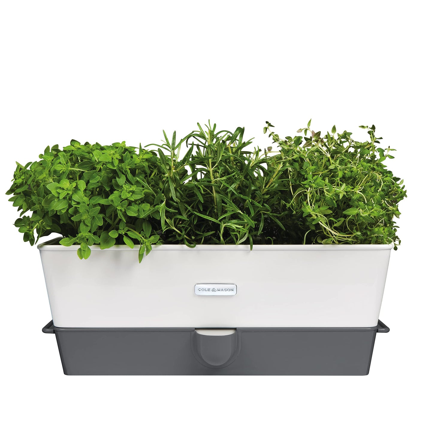 Cole & Mason Burwell Self-Watering Potted Herb Saver, Windowsill Herb Planter Herb Box/Indoor Herb Garden, Triple, Suitable for 3 pots (85 mm), Includes 12 x Pads, White/Grey