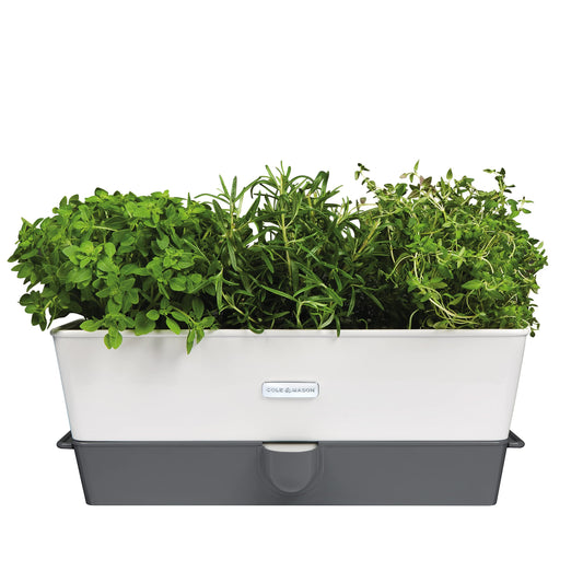 Cole & Mason Burwell Self-Watering Potted Herb Saver, Windowsill Herb Planter Herb Box/Indoor Herb Garden, Triple, Suitable for 3 pots (85 mm), Includes 12 x Pads, White/Grey