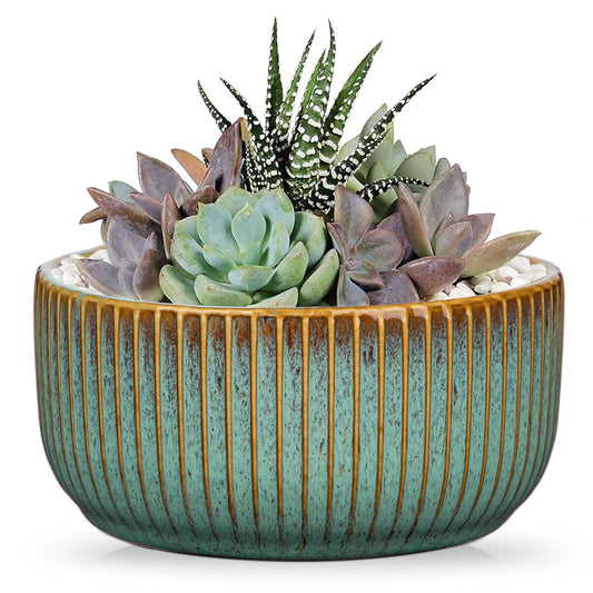 Oairse Plant Pots Indoor with Drainage Hole 6 inch Ceramic Plant Pot Grey Blue Succulent Pot Small Round Planters for Indoor Outdoor Plants Bonsai Bowl Decorative Flower Pots for Cactus Snake Plant