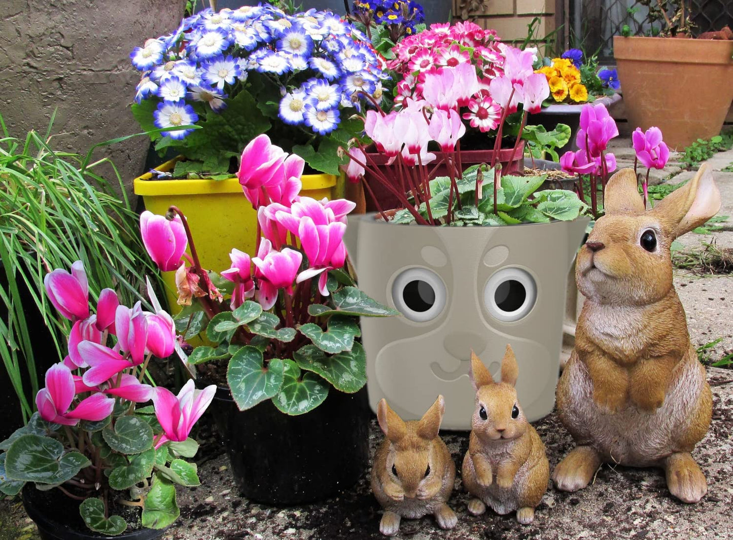 GVG Self Watering Pots Owl Pot Smart Well Aerating High Drainage Animal Planter Black Halloween Pot Large Plastic Plant 25cm Ideal Many Flowers African Violets Orchid Lily