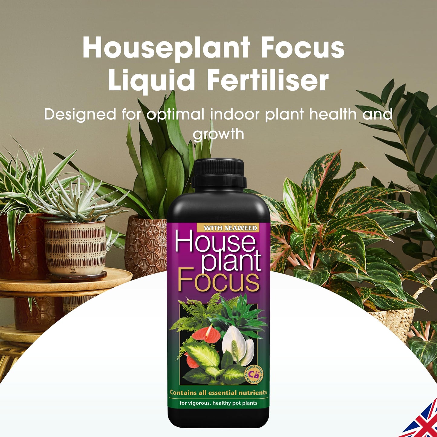 Houseplant Focus Concentrated Liquid Fertiliser, 1 Litre - Growth Technology Fertiliser for Indoor Plants - Professional Grade House Plant Food Concentrate with Kelp Seaweed Extract - Makes 200L