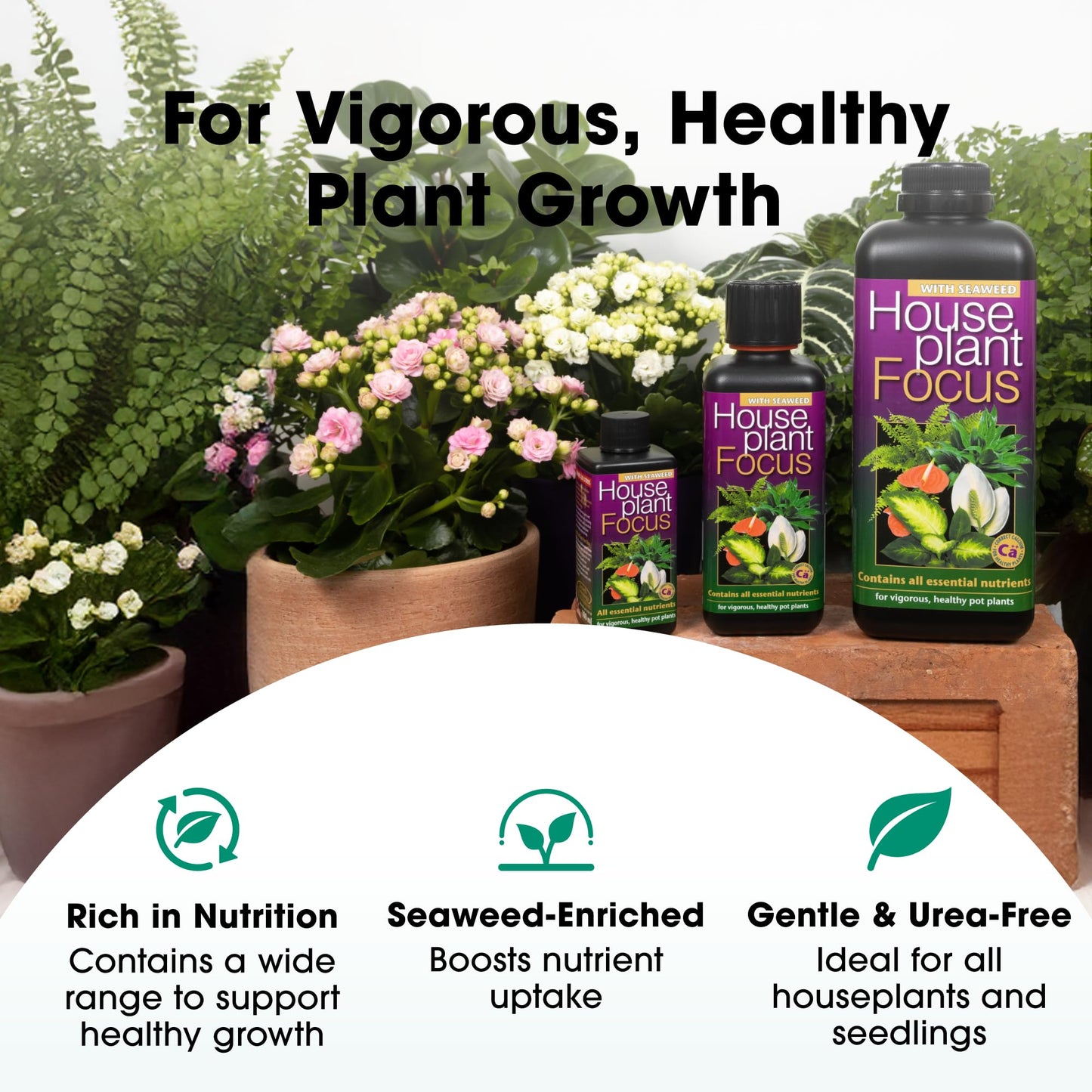 Houseplant Focus Liquid Concentrated Fertiliser, 100ml - Growth Technology Fertiliser for Indoor Plants - Professional Grade House Plant Food