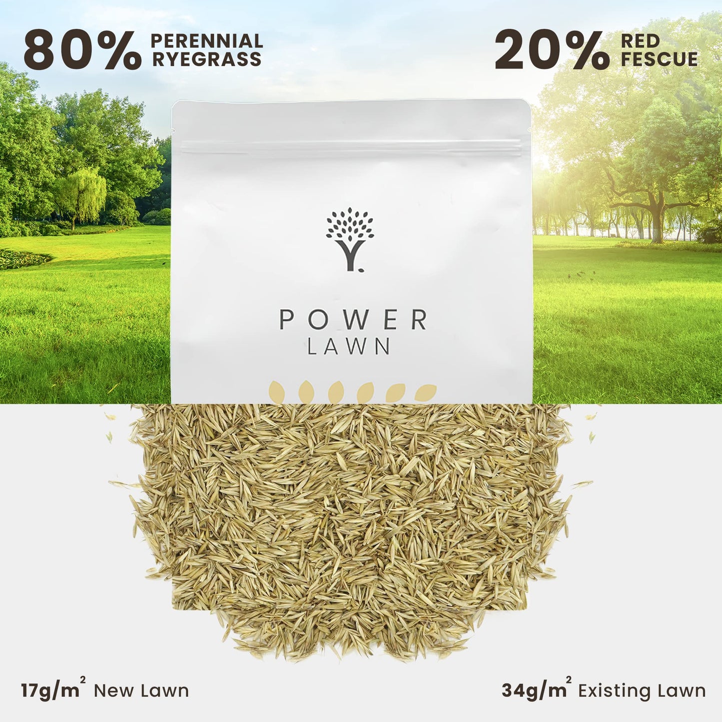 MOOWY Power Lawn Fast-Growing Grass Seed 50m² – Hard-Wearing Spring Grass with Resilient Red Fescue & Ryegrass – Sourced from Supplier of Premier League Stadiums, Euros & World Cups