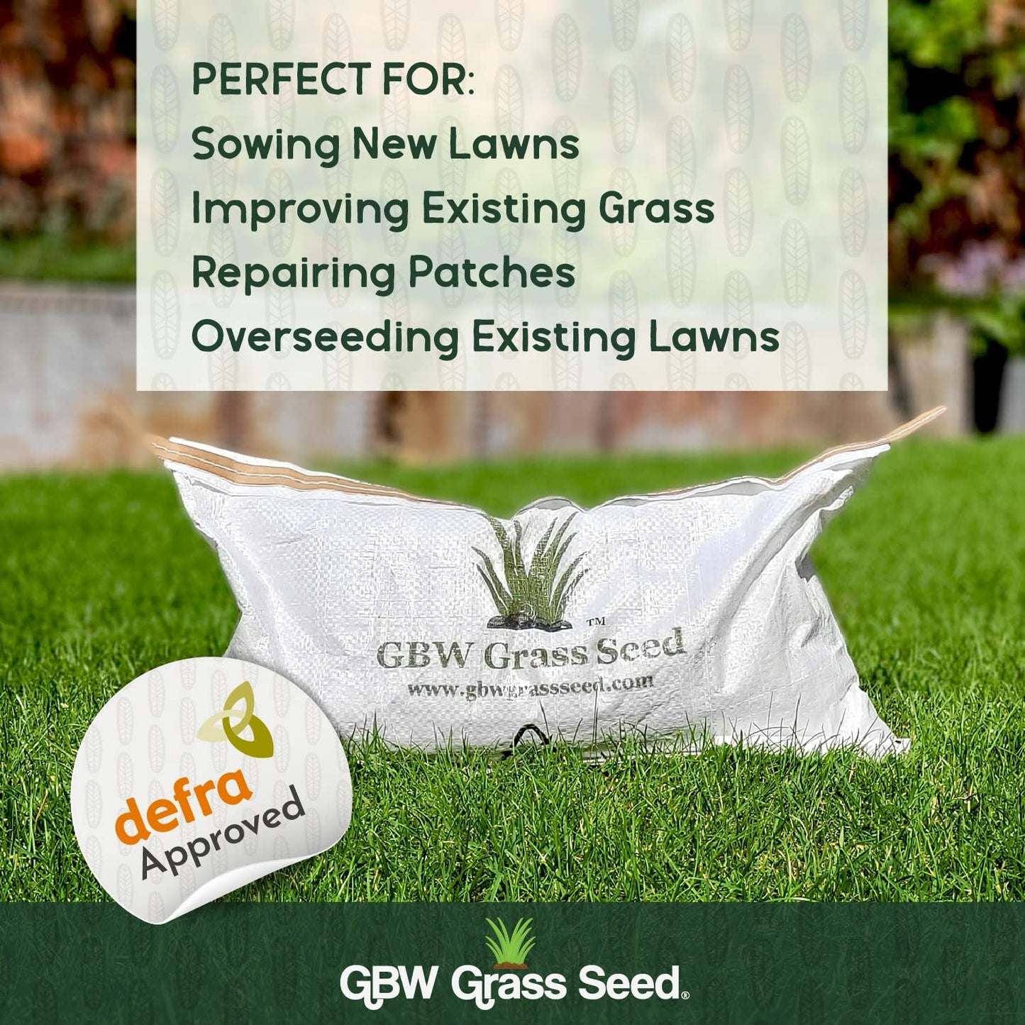 GBW Grass Seed 1kg - Covers up to 60 m2 (645 ft2) - Premium Quality Lawn Seed - Rapid Growth – Can Germinate as Quick as 10 days - Hard Wearing against Pet Urine - Tailored to UK Climate - 100% Refund