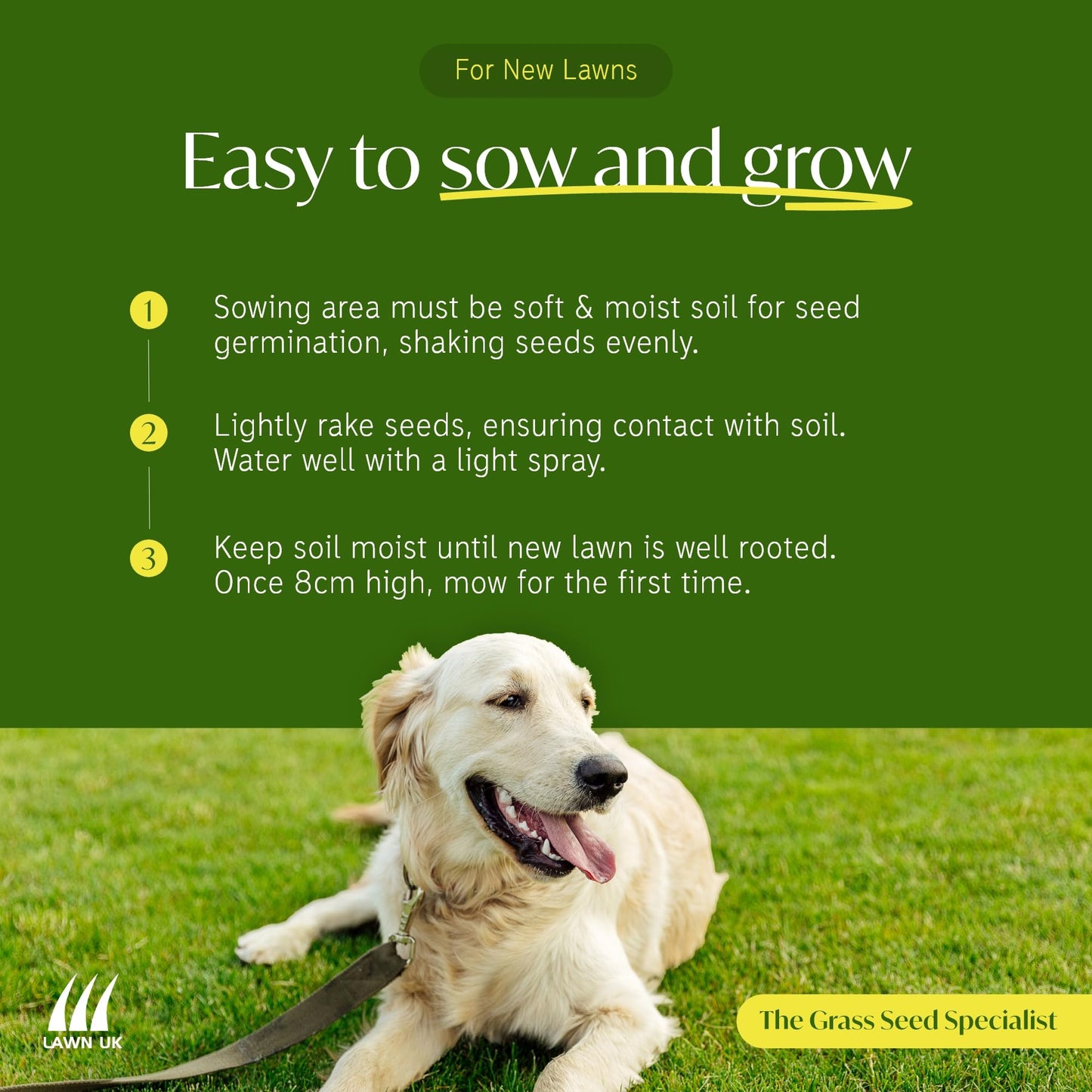 Sprogs & Dogs Ultra Hardwearing Grass Seed by Lawn UK - 500g Up to 15sqm Coverage - Ultimate Tough Grass Seed for Family lawns - Fast Growing & Super Durable - Perfect for Children & Pets