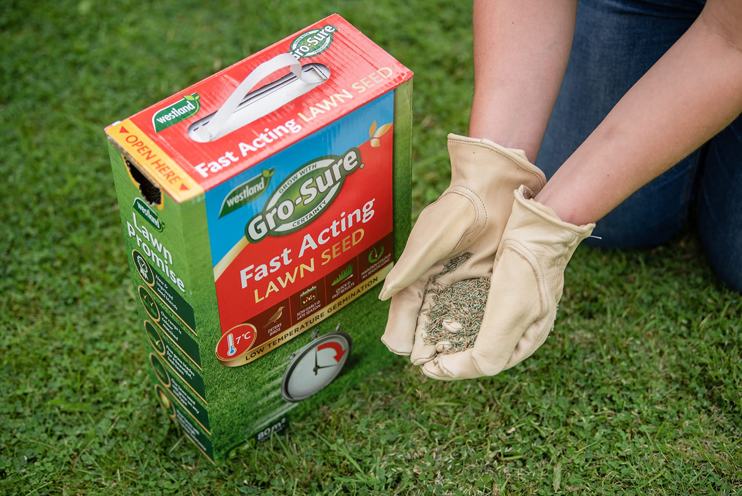 Gro-Sure 20500187 Fast Acting Grass Lawn Seed, 30 m2, 900 g, Blue,Green