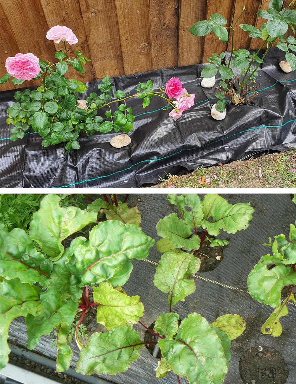 wohohoho 6.6ft x 33ft Weed Control Membrane, 2m x 10m Garden Weed Membrane Heavy Duty Landscape Weed Control Fabric, 3.2oz Weed Suppressant Membrane for Patios, Garden, Flower beds, Pond